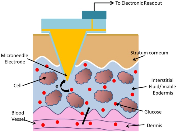 Microneedle tips may be electrochemically functionalised to act as interstitial fluid sensors.